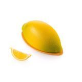 Silikomart Форма силіконова для десертів Великий лимон LIMONE 700 LIMONE 700 фото