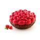 KIT FLEUR 1085 Набор силиконовых форм для торта FLEUR KIT FLEUR 1085 фото 1
