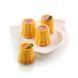 SF050/C Силиконовая форма для десертов CANNELE SF050/C фото 1