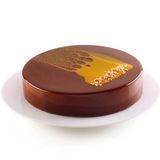 TOR200 H50/1 Силіконова форма кругла 1563 мл TOR200 H50/1 фото
