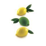 Silikomart Силиконовая форма для десертов LIMONE&LIME 120 мл LIMONE&LIME 120 фото