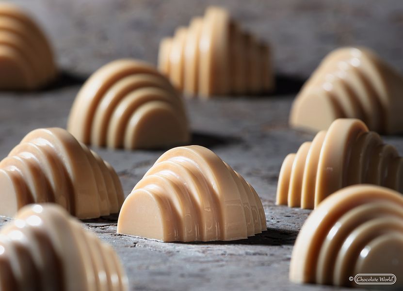 12124 CW Форма для шоколаду полікарбонатна Dutch Pastry Team 12124 CW фото